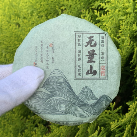 Шен Пуэр Бесконечная гора 2020 год блин 100 г